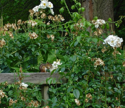 Otherwise you miss out on little moments like this