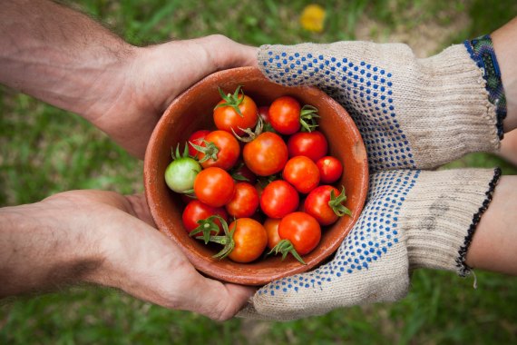 two pairs of hands share a bowl of cherry tomatoes